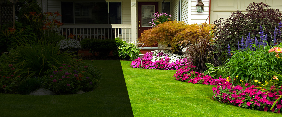Lake Alfred Landscapers