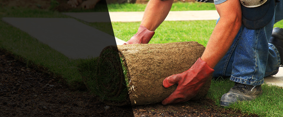 Lake Alfred Landscapers